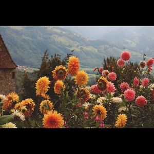 Meet your Posher, Kaitlin